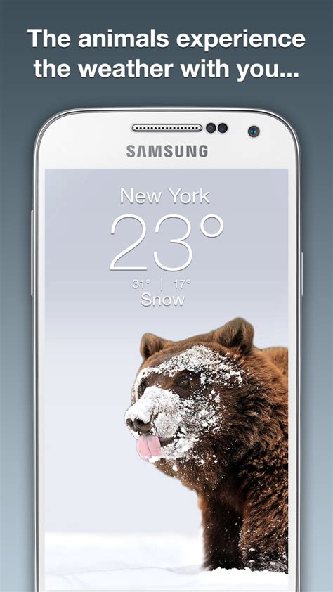 Wildlife Weather APK Download for Android 