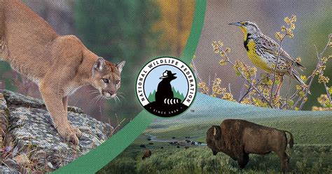 Wildlife bill could end cash prize competitions