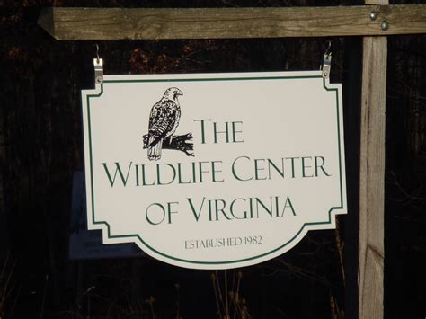 Wildlife center of virginia. Wildlife Center of Virginia, Waynesboro, VA. 150,441 likes · 2,847 talking about this. The Wildlife Center of Virginia is a teaching and research hospital for native wild animals 