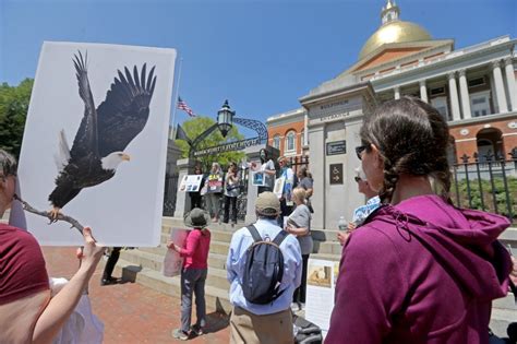 Wildlife conservation advocates say towns, cities should regulate pesticides, not the feds and state