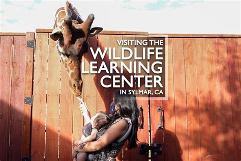 Wildlife learning center. GA for 2 to Wildlife Learning Center. 