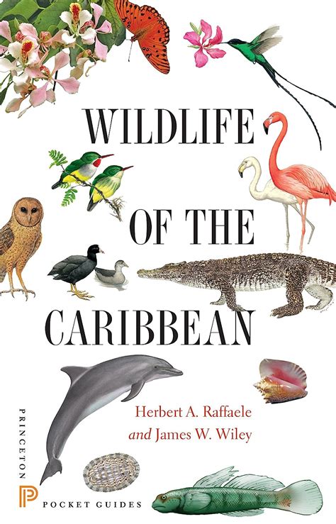 Wildlife of the caribbean princeton pocket guides. - Los angeles unlimited steam license study guide.