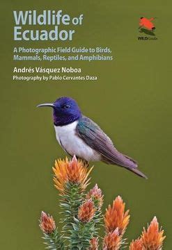 Read Wildlife Of Ecuador A Photographic Field Guide To Birds Mammals Reptiles And Amphibians By Andres Vasquez Noboa
