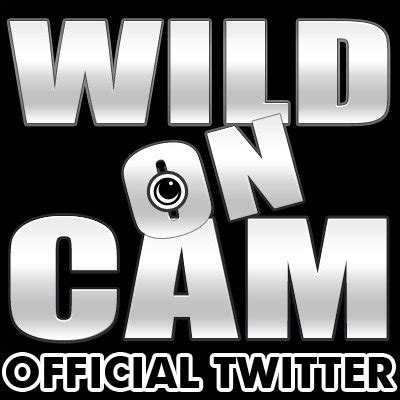 08) HD 99 59:20 [<strong>WildOnCam</strong>] Thalia Rhea – Wicked Babe Thalia Rhea Just Wants To Masturbate LIVE (23. . Wildoncam
