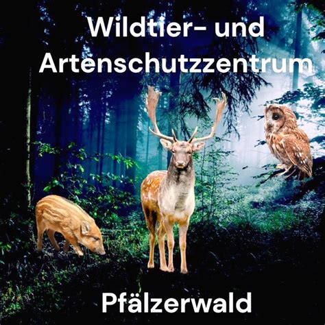 Wildtier- und Artenschutzzentrum - Förderverein …