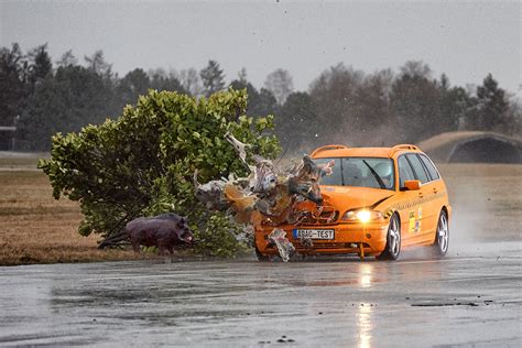 Wildunfall leihwagen adac