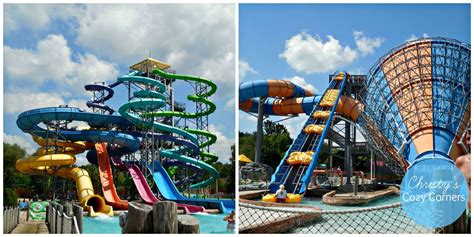 Wildwater - dINING OPTIONS. WildWater is a destination water park located in Cullman, Alabama featuring 10 thrill slides, 8 youth slides, a 22,000 sq. ft. wave pool, a drift river, premium concessions, cabana rentals, pavilion rentals for birthday celebrations, and more!