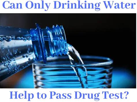 Will Chugging Water Help Pass A Drug Test