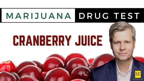 Will Drinking Cranberry Juice Pass A Drug Test