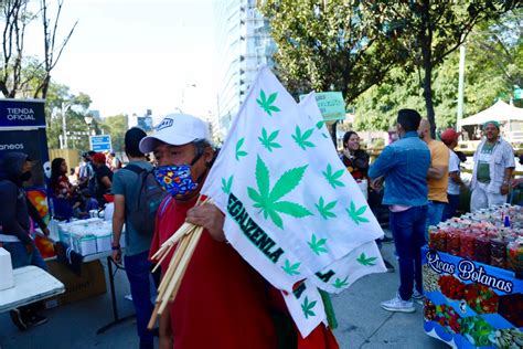 Will We See Mexico Legalize Cannabis In 2024? - Forbes