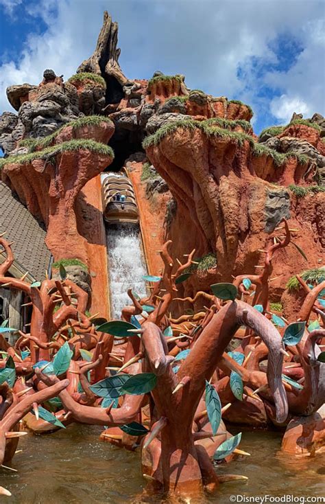 Will You Have to Keep Your Mask on for Water Rides in Disney …