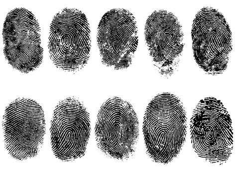 Will a Fingerprint Background Check Really Help in the Hiring Process