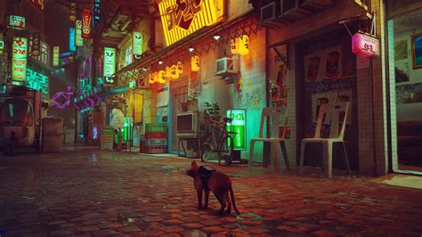 Will a Stray Xbox version be released TechRadar