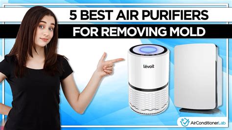 Will an air purifier help with mold. Most air purification systems DO NOT MEET these requirements so pricing will be much less because you are trapping "much less" in your air purifier. What are ... 