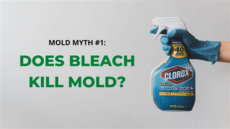Will bleach kill mold. Some mold can hide underneath wallpaper or vinyl flooring, making it difficult to find. Clorox bleach will kill mold on hard surfaces, such as floors, counters, sinks and stoves. However, bleach does not kill mold spores that become airborne during the cleaning process. 