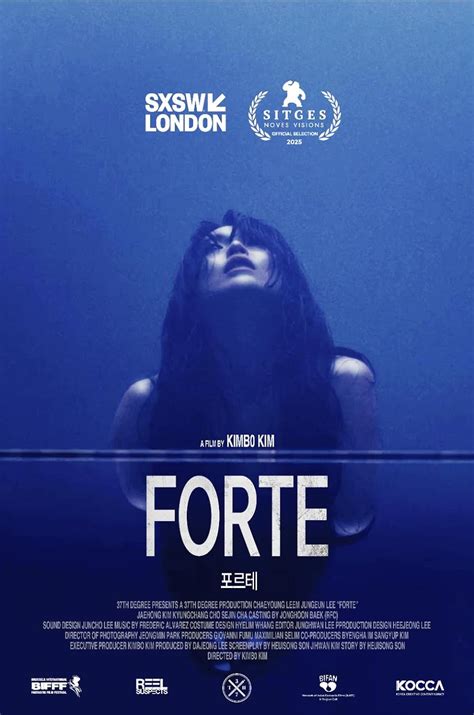 Will forte imdb