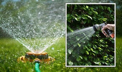 Will there be a hosepipe ban in the UK? - Express