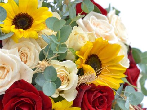 Willis funeral service obituaries.  Offer condolences/tributes, send f...