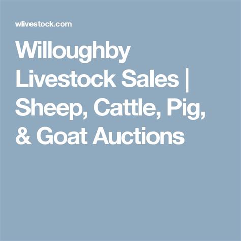 Willoughby livestock sales sheep. Things To Know About Willoughby livestock sales sheep. 