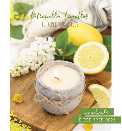 Willow and Sage The Candle Issue - Stampington