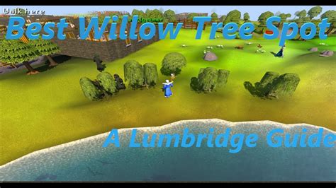 Cutting willows is also one of the fastest ways to train Woodcutting in f2p (cutting maple logs or yew logs may be slightly faster [2], but these cannot be stored in any f2p wood boxes). Willow logs are in high demand due to being raw materials for spirit weed incense sticks. While that is members-only, free players can make willow incense sticks.