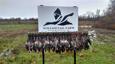 WillowTail Farm Guided Duck Hunting in the Woods