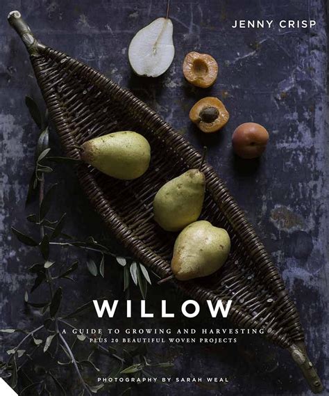 Full Download Willowtraditional Craft For Modern Living By Jenny Crisp