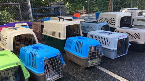 Wilmington de animal shelter. Save the Animals Adoption Center. 3705 Lancaster Pike. Wilmington, DE 19805. Get directions. view our pets. ataylor@windcrestanimal.com. (302) 998-2995. 