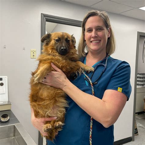 Wilson vet. Wilson Veterinary Hospital offers both routine and advanced surgical procedures for pets in Wilson, NC and surrounding areas. Learn about the steps we take to … 