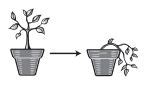 Wilting in plants occurs, when Biology Questions