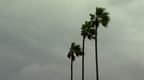Wind gusts reached speeds over 80 mph in this San Diego area