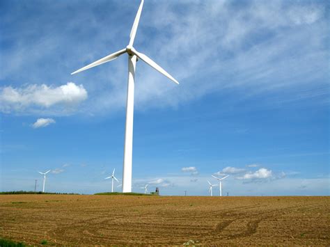 Yearly wind energy production grew 17% reaching 4.4% of worldwide
