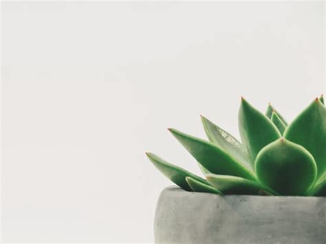 Winder funeral.  Read Eberhart & Son Mortuary obituaries, find service information, send ...