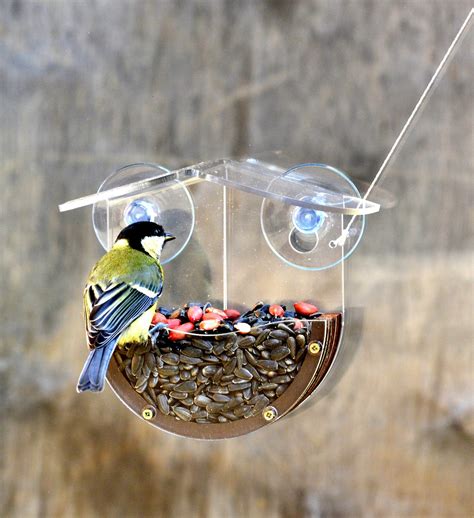 Window Suction Bird House - Etsy