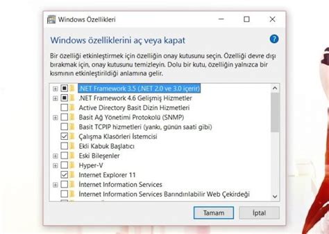 Windows özelliklerini aç veya kapat
