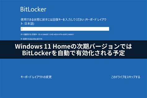 Windows 11 で BitLocker To Go を有効にして使用する方法 …