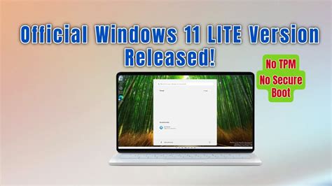 Windows 11 lite official.  It cuts out unnecessary Commercial source code...