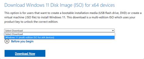 Windows 11 usb. 1 64bit Download Windows 11 Disk Image (ISO) for x64 devices ...