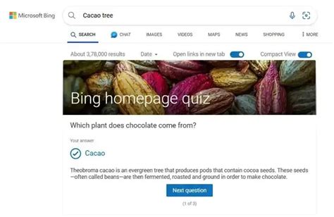 Windows-2000 Bing Homepage Quiz