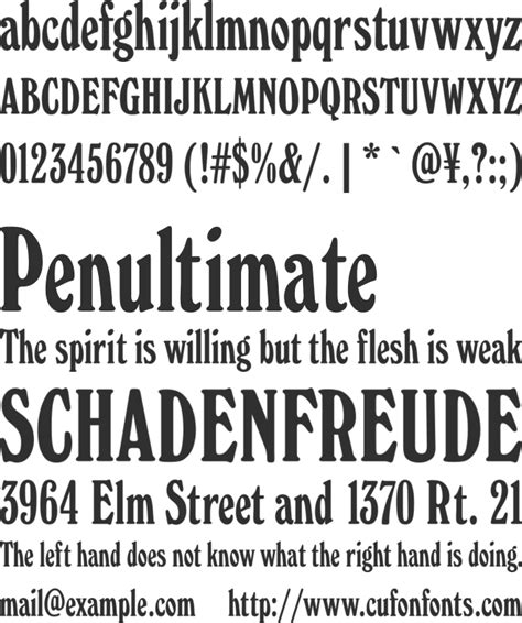 Windsor Elongated Font Download Free for Desktop & Webfont