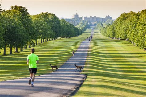 Windsor Great Park Walking and Running - Old Windsor, England