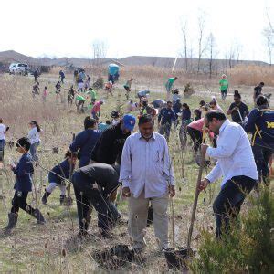 Windsor Islamic Association Earth Day Community Tree Planting ...