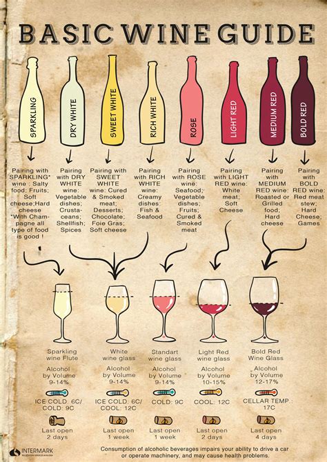 Wine Pairing Guide Best Wine Pairing Options to Try - BinWise