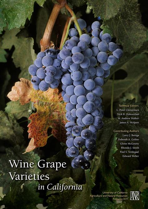 Wine grape varieties in california paperback by bettiga larry. - England und die sperrung der see..