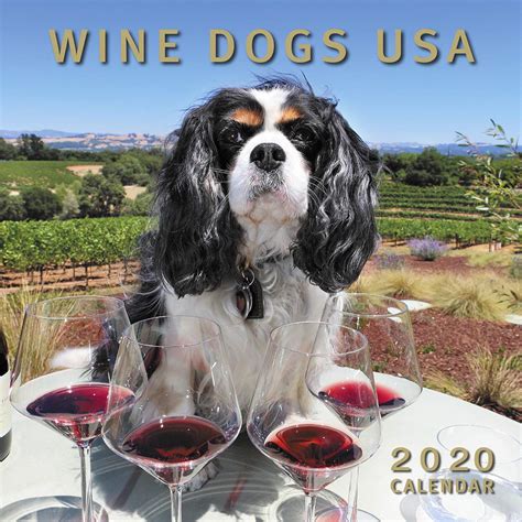 Read Online Wine Dogs Usa 2020 Calendar By Craig Mcgill  Susan Elliott