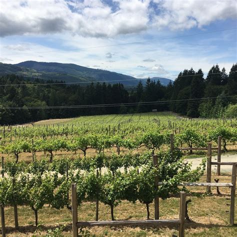 Wineries — Tourism Cowichan