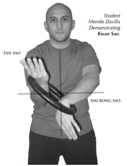 WingChun - Ring - Pinterest