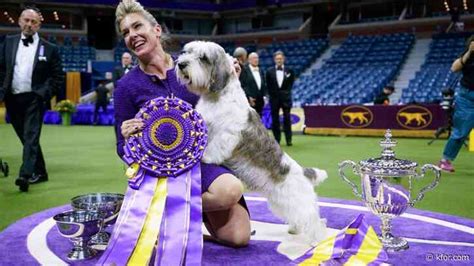 Winner of Westminster dog show shares name with late rock 'n roll icon