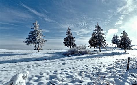 Winter Images & Pictures. Discover stunning snowy winter images for your wallpaper or project. HD to 4K quality, all royalty free & ready for download! Royalty-free images. Next page. / 869..