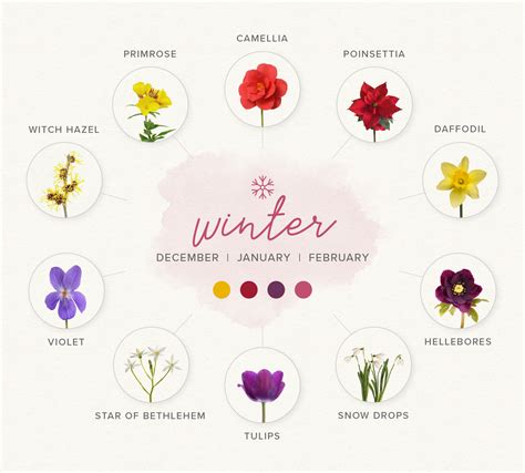 Winter Flower Meanings